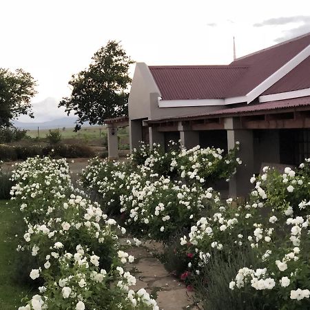 Mountain View Country Guest House Cradock Eksteriør bilde