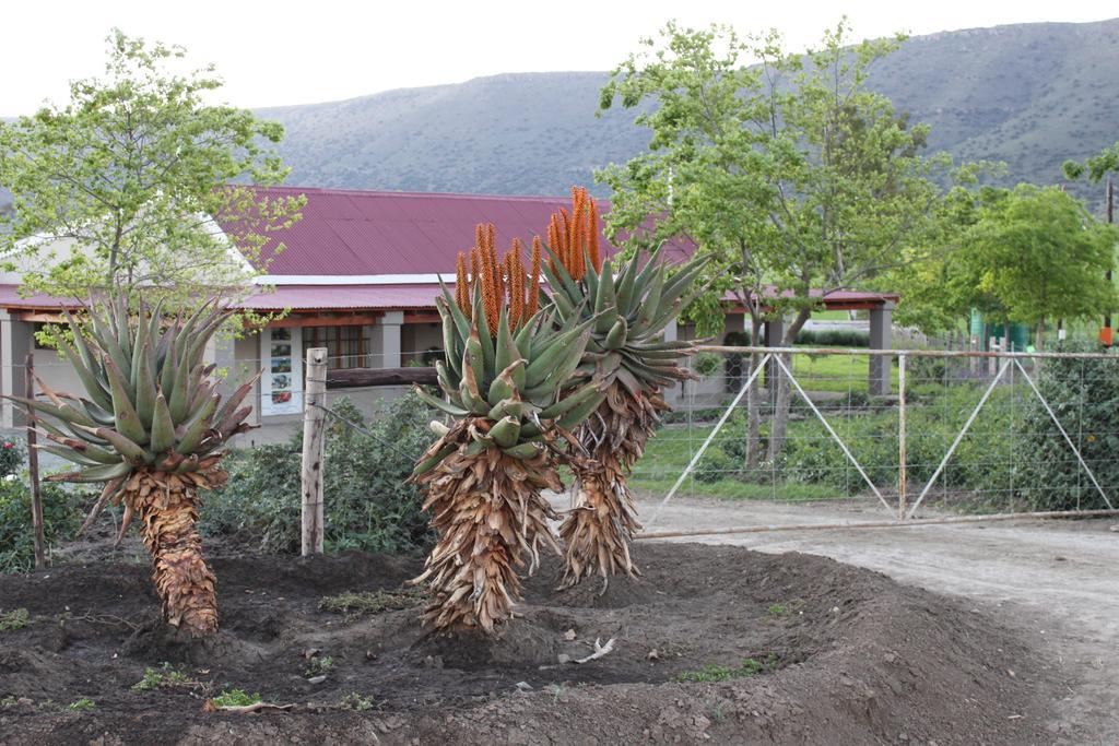 Mountain View Country Guest House Cradock Eksteriør bilde