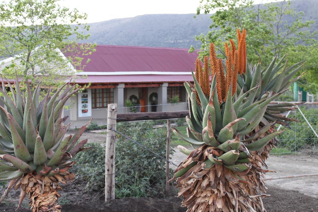 Mountain View Country Guest House Cradock Eksteriør bilde