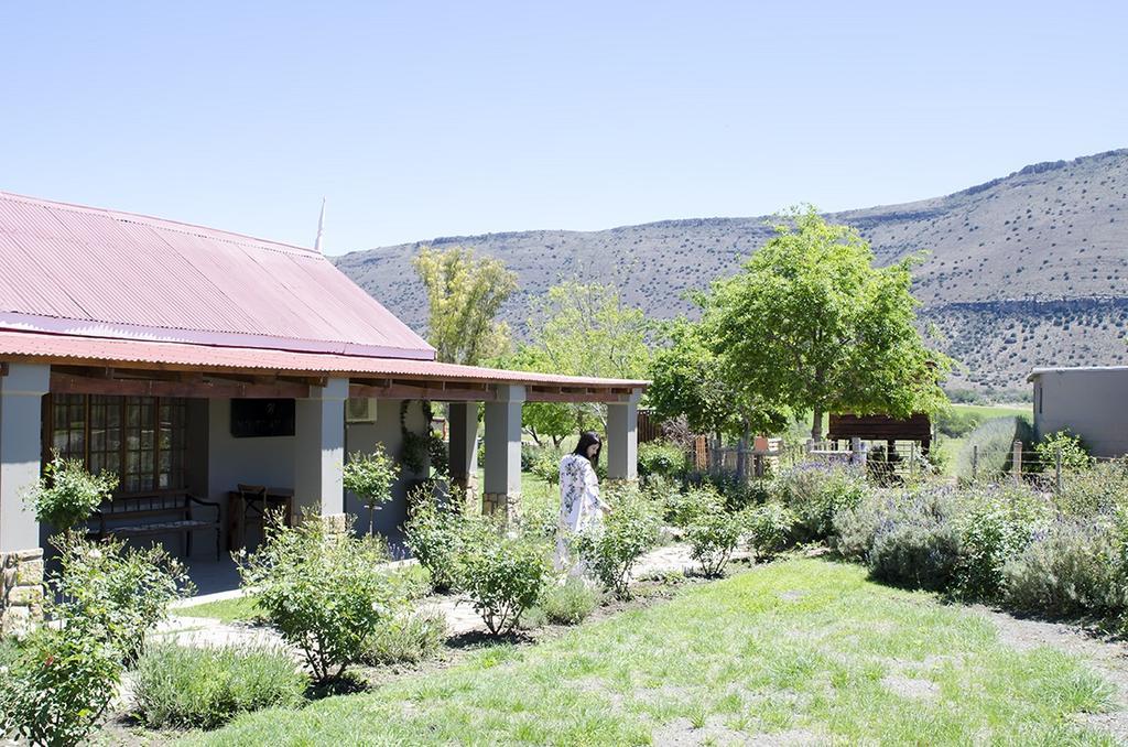 Mountain View Country Guest House Cradock Eksteriør bilde