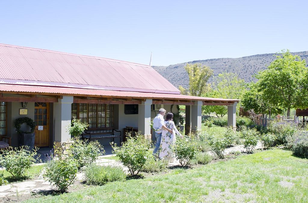 Mountain View Country Guest House Cradock Eksteriør bilde