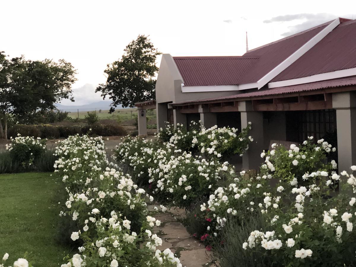 Mountain View Country Guest House Cradock Eksteriør bilde