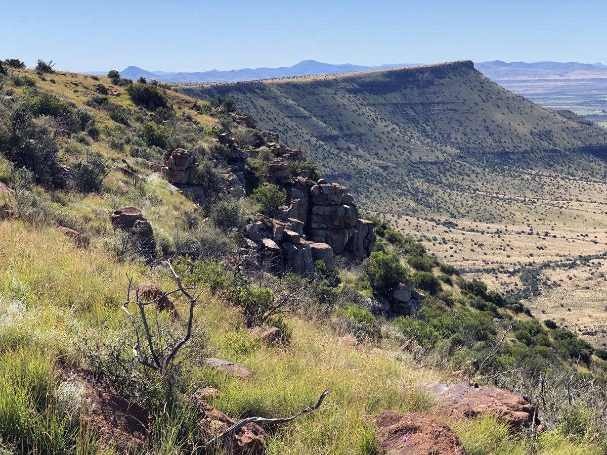 Mountain View Country Guest House Cradock Eksteriør bilde