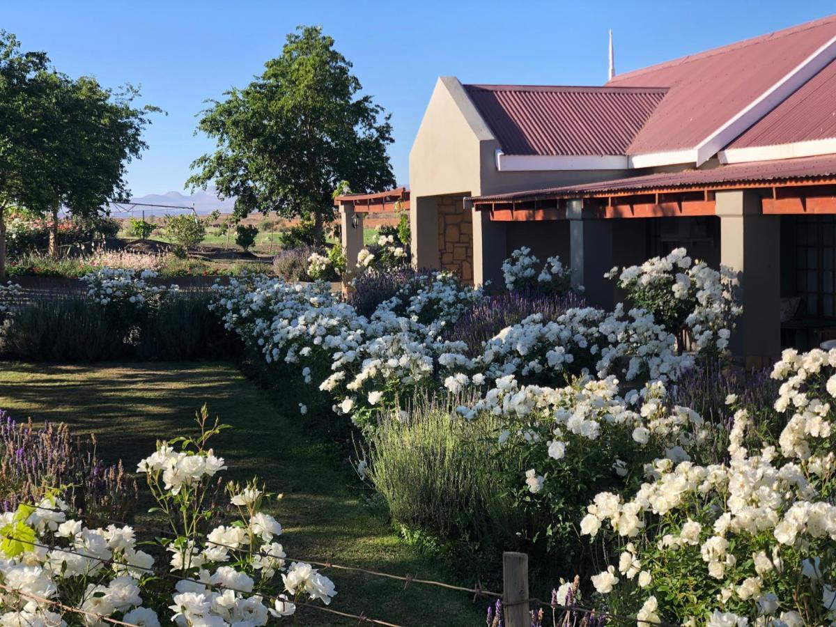 Mountain View Country Guest House Cradock Eksteriør bilde